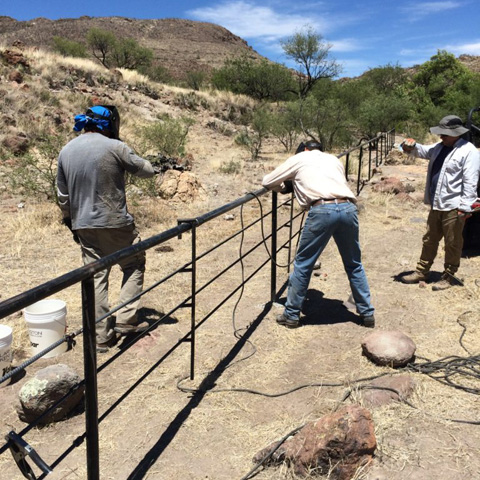Fencing Repairs to Protect Sonoita Creek State Natural Areas from cattle