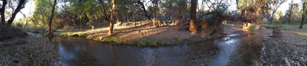 Sonoita Creek Panoramic